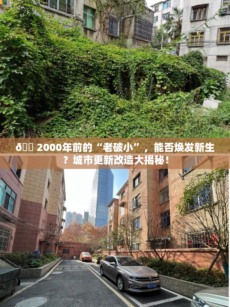 🏠2000年前的“老破小”，能否焕发新生？城市更新改造大揭秘！