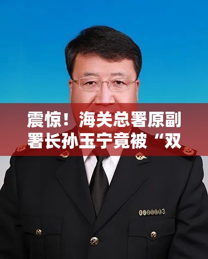 海关总署原副署长孙玉宁被双开