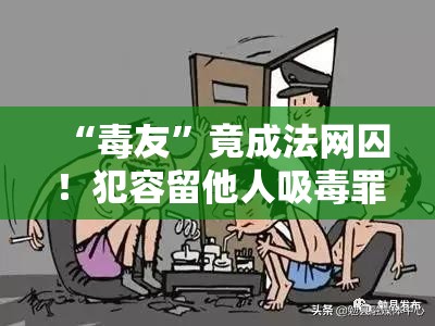 “毒友”竟成法网囚！犯容留他人吸毒罪终获刑，震惊社会！