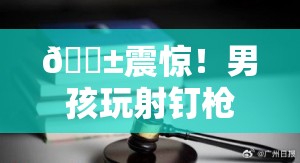 😱震惊！男孩玩射钉枪竟误杀6岁妹妹，其父悲痛获刑，家庭安全何在？