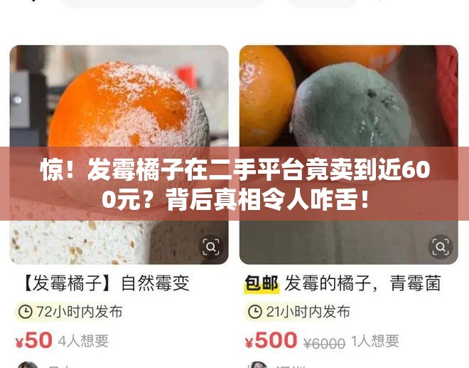 惊！发霉橘子在二手平台竟卖到近600元？背后真相令人咋舌！