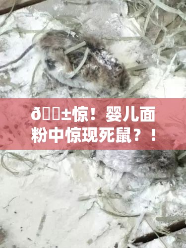 😱惊！婴儿面粉中惊现死鼠？！真相令人咋舌！